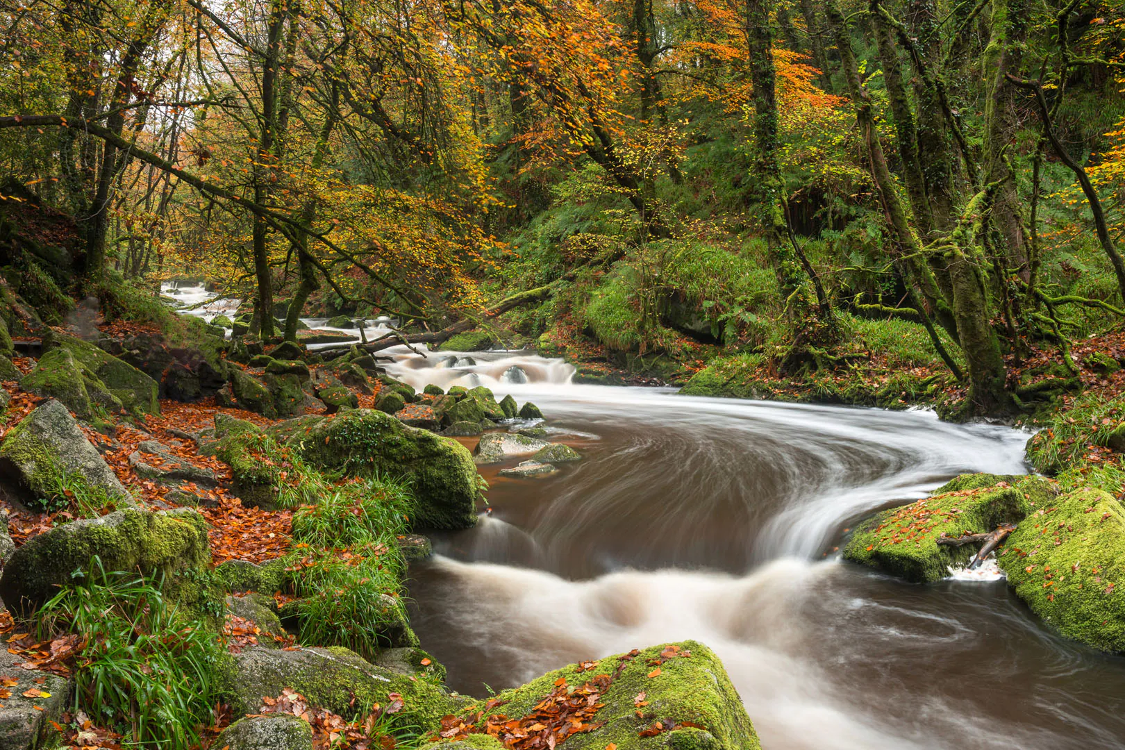Golitha Falls flows through Draynes Wood on Bodmin Moor, it is one of the best waterfall walks in Cornwall.