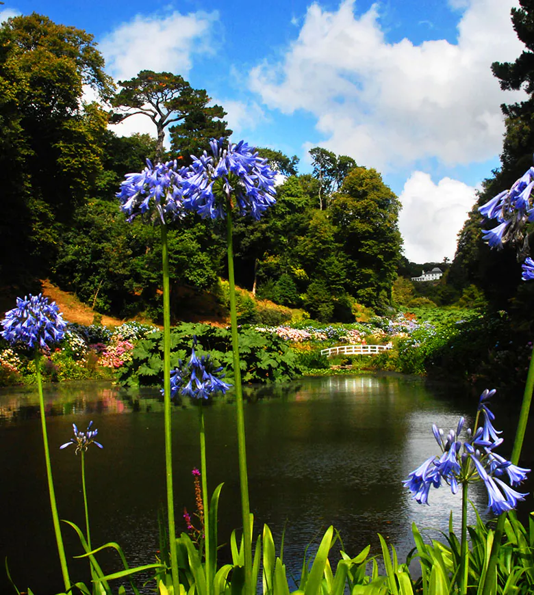 Trebah Gardens