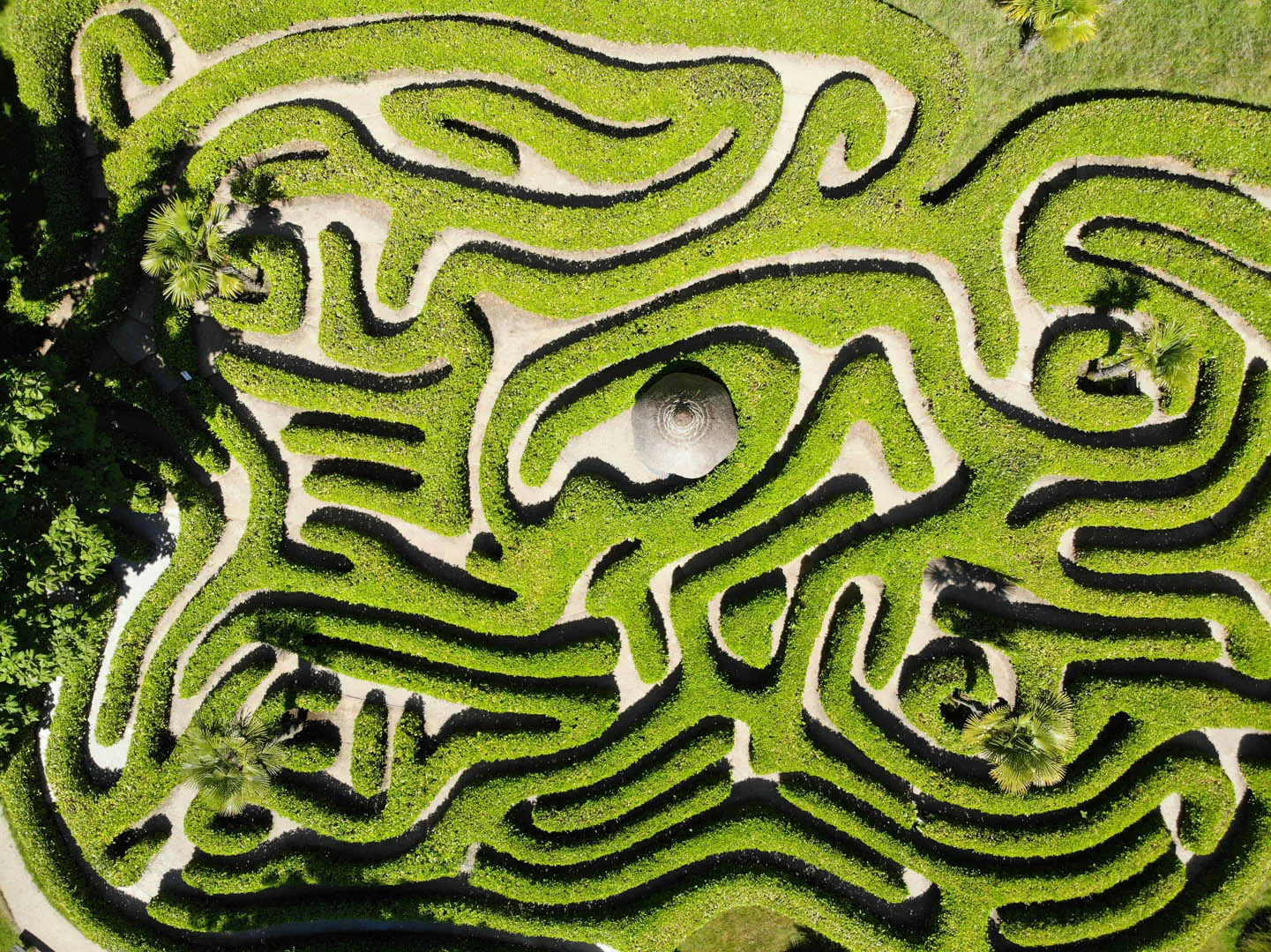 Aerial view of a maze in a field at Glendurgan Garden in Cornwall, surrounded by lush greenery.