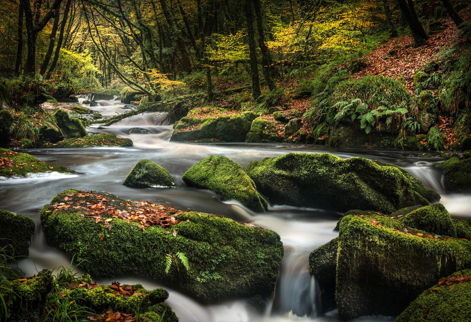 A serene river flows through Golitha Falls, surrounded by lush trees and rocks, capturing the beauty of Cornwall in autumn and October Half Term.